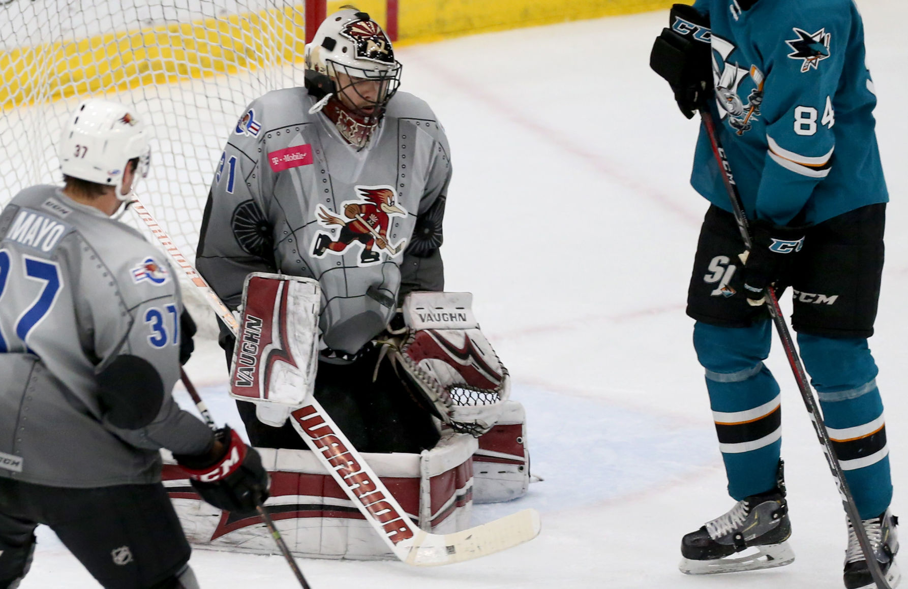 Roadrunners vs San Jose